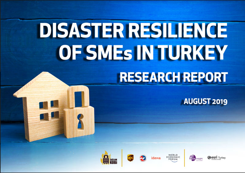 Disaster Resilience Of SMEs In Turkey Research Report